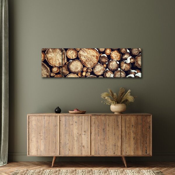 Obraz - Drewno w śniegu (170x50 cm)