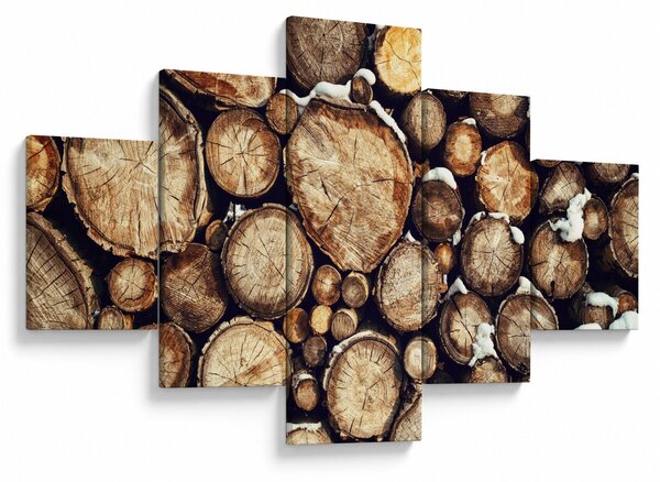 Obraz - Drewno w śniegu (125x70 cm)