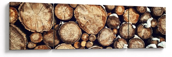 Obraz - Drewno w śniegu (170x50 cm)