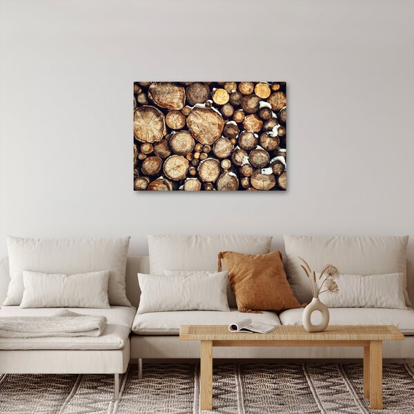 Obraz - Drewno w śniegu (70x50 cm)