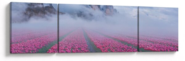 Obraz - Krajobraz z polami tulipanów (170x50 cm)