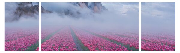 Obraz - Krajobraz z polami tulipanów (170x50 cm)