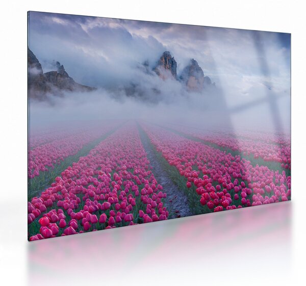 Obraz na szkle - Krajobraz z polami tulipanów (70x50 cm)