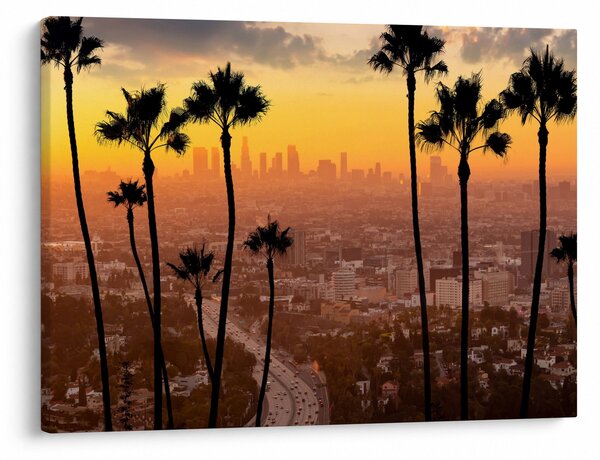 Obraz - Panorama Los Angeles (70x50 cm)