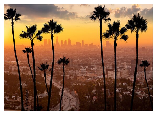 Obraz na szkle - Panorama Los Angeles (70x50 cm)