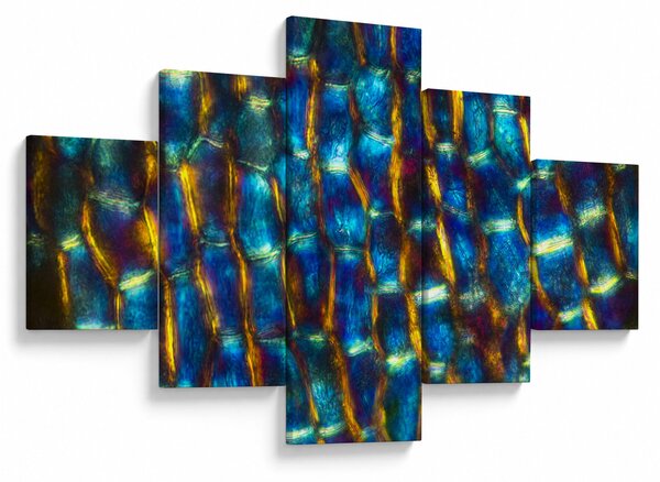 Obraz - Ściana komórkowa (125x70 cm)