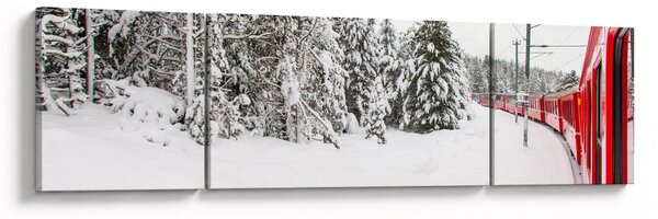 Obraz - Pociąg w zaśnieżonym krajobrazie (170x50 cm)