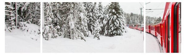 Obraz - Pociąg w zaśnieżonym krajobrazie (170x50 cm)