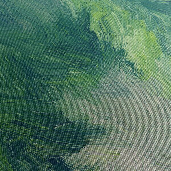 Obraz - Malowane drzewa iglaste (125x70 cm)