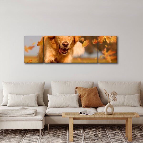 Obraz - Golden Retriever (170x50 cm)