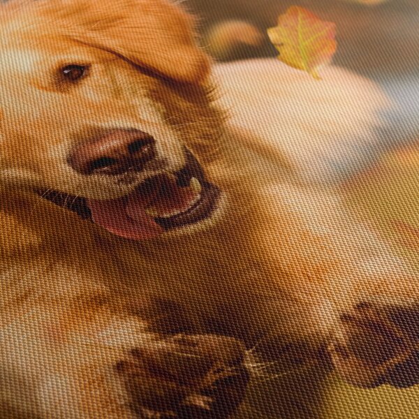 Obraz - Golden Retriever (170x50 cm)