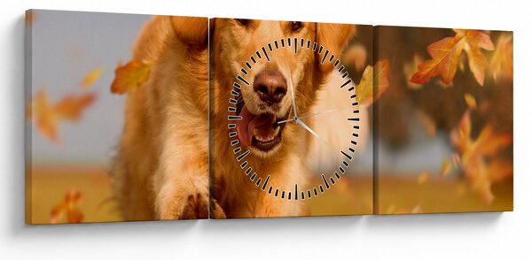 Obraz - Golden Retriever (z zegarem) (90x30 cm)