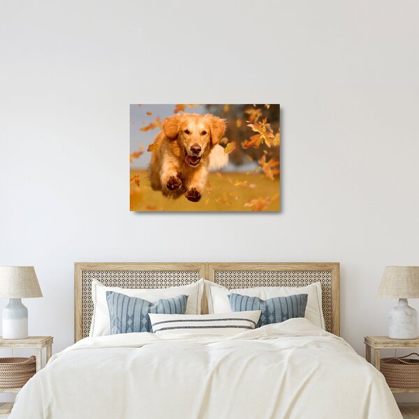 Obraz na szkle - Golden Retriever (70x50 cm)
