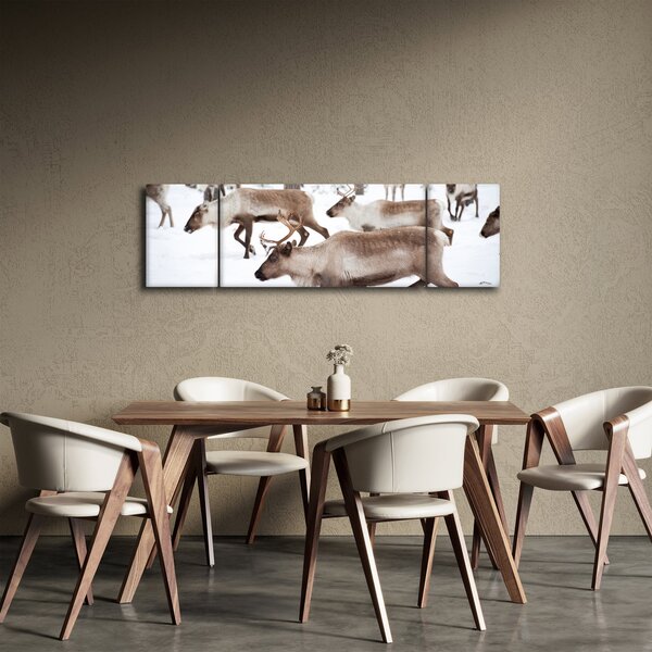 Obraz - Renifer (170x50 cm)