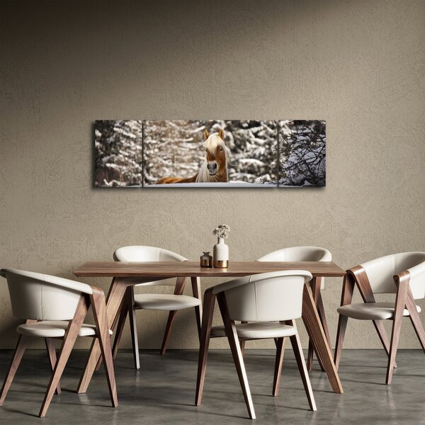 Obraz - Koń w zimowym krajobrazie (170x50 cm)