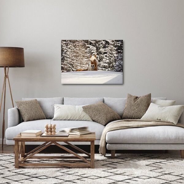 Obraz - Koń w zimowym krajobrazie (70x50 cm)