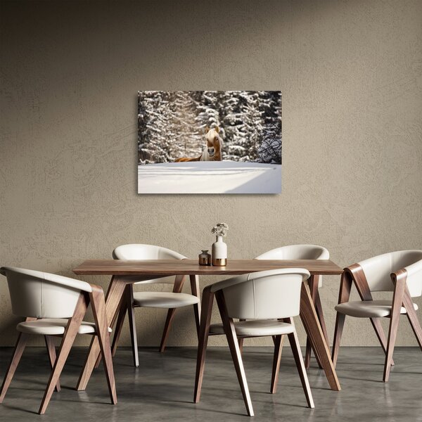 Obraz na szkle - Koń w zimowym krajobrazie (70x50 cm)