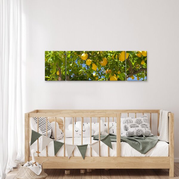 Obraz - Drzewo cytrynowe (170x50 cm)