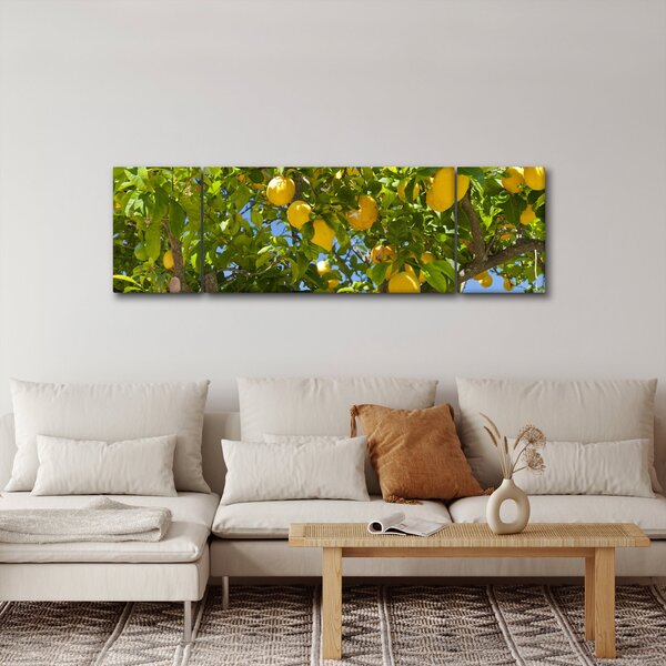 Obraz - Drzewo cytrynowe (170x50 cm)