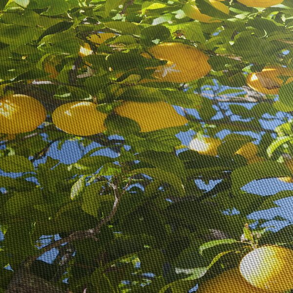 Obraz - Drzewo cytrynowe (125x70 cm)