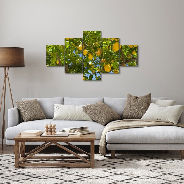 Obraz - Drzewo cytrynowe (125x70 cm)