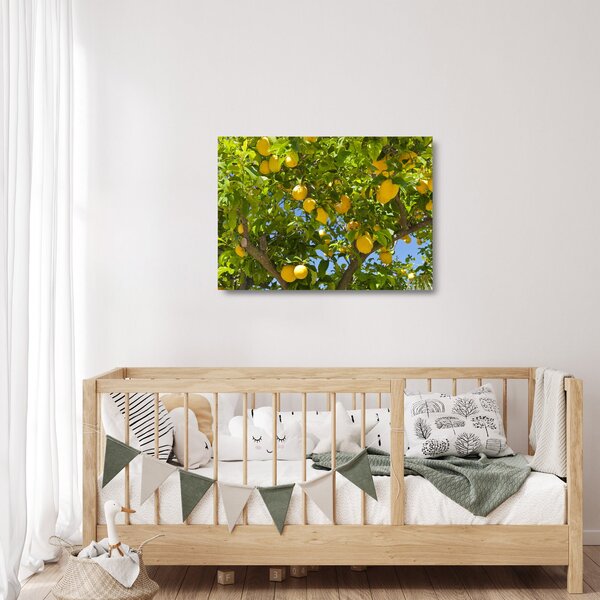 Obraz na szkle - Drzewo cytrynowe (70x50 cm)
