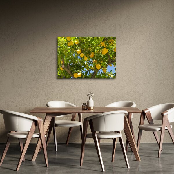 Obraz - Drzewo cytrynowe (70x50 cm)