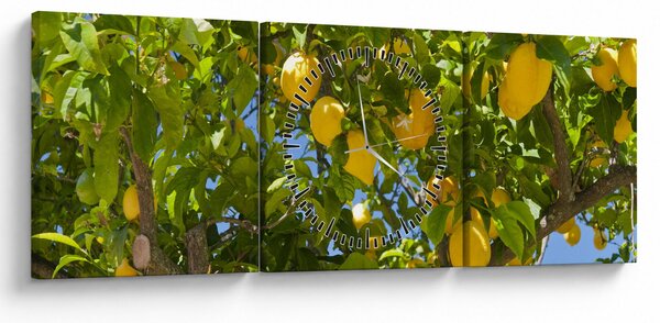 Obraz - Drzewo cytrynowe (z zegarem) (90x30 cm)
