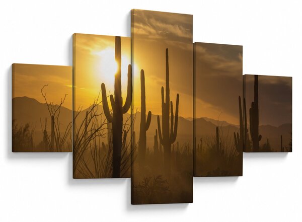Obraz - Kaktusy Saguaro (125x70 cm)