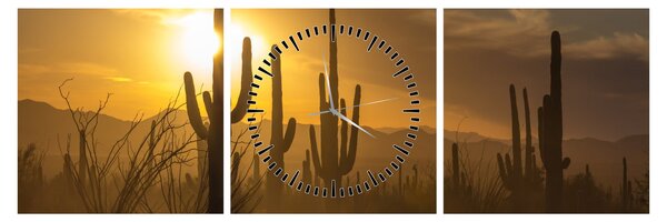 Obraz - Kaktusy Saguaro (z zegarem) (90x30 cm)