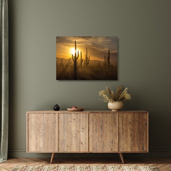 Obraz na szkle - Kaktusy Saguaro (70x50 cm)