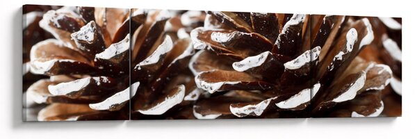 Obraz - Pączki (170x50 cm)
