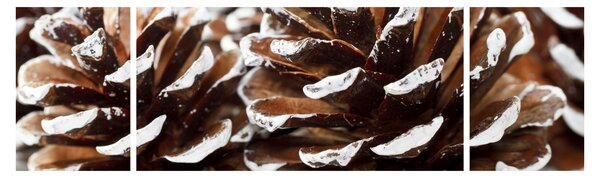 Obraz - Pączki (170x50 cm)