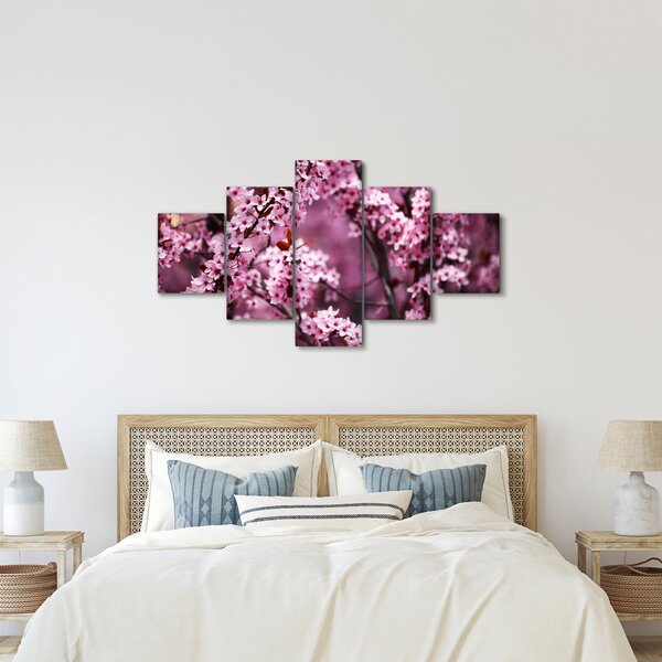Obraz - Różowa sakura (125x70 cm)
