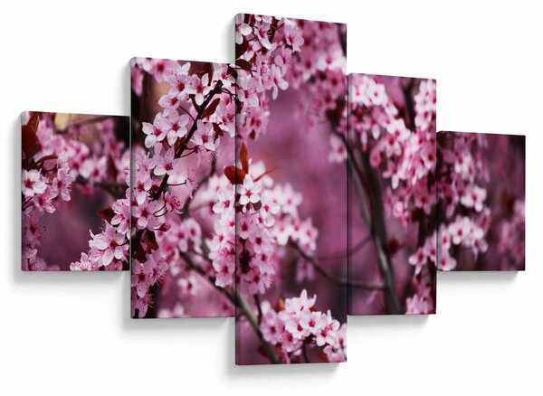 Obraz - Różowa sakura (125x70 cm)