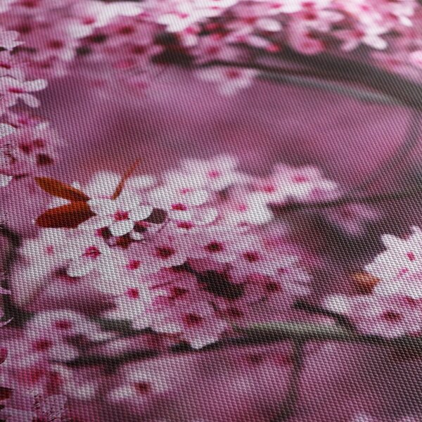 Obraz - Różowa sakura (70x50 cm)