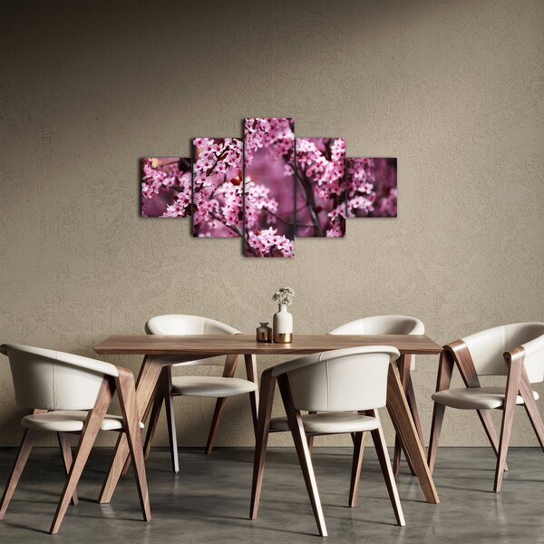 Obraz - Różowa sakura (125x70 cm)