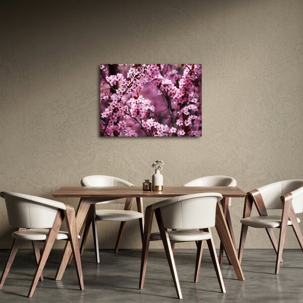 Obraz - Różowa sakura (70x50 cm)