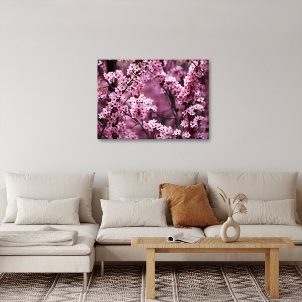 Obraz - Różowa sakura (70x50 cm)