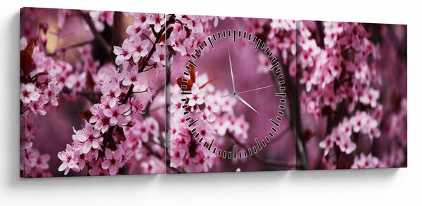 Obraz - Różowa sakura (z zegarem) (90x30 cm)