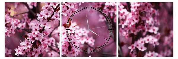 Obraz - Różowa sakura (z zegarem) (90x30 cm)