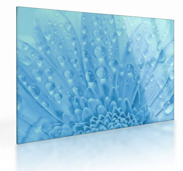 Obraz na szkle - Ujęcie makro kwiatu (70x50 cm)