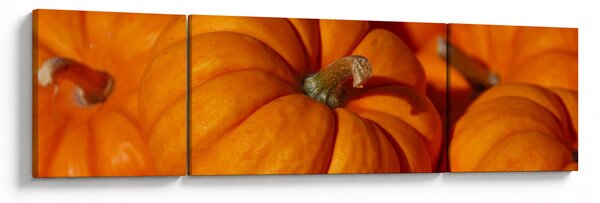Obraz - Wspaniałe dynie (170x50 cm)