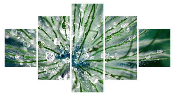 Obraz - Makro zdjęcie kwiatu (125x70 cm)