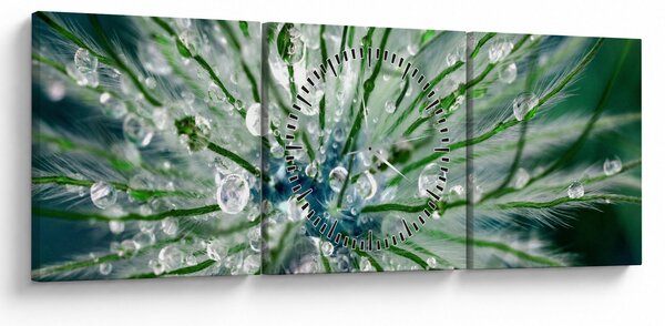 Obraz - Makro zdjęcie kwiatu (z zegarem) (90x30 cm)