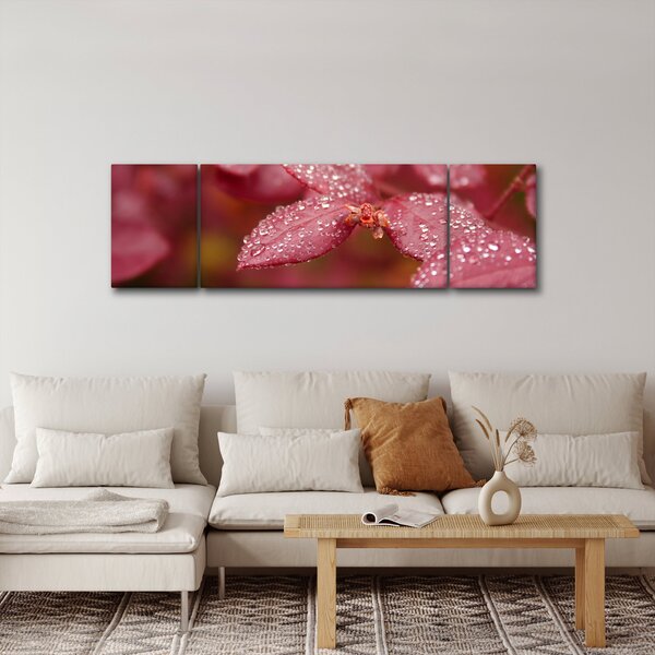 Obraz - Obraz biletu w trybie makro (170x50 cm)