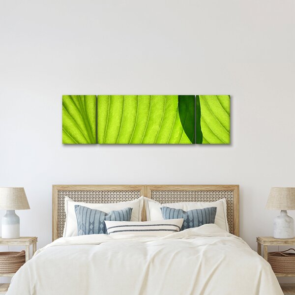 Obraz - Szczegół zielonego liścia (170x50 cm)