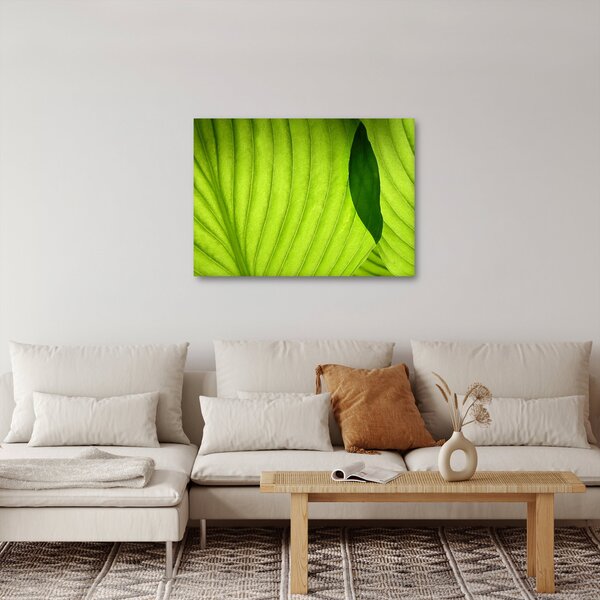 Obraz - Szczegół zielonego liścia (70x50 cm)