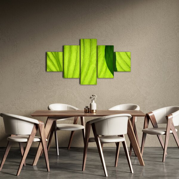 Obraz - Szczegół zielonego liścia (125x70 cm)