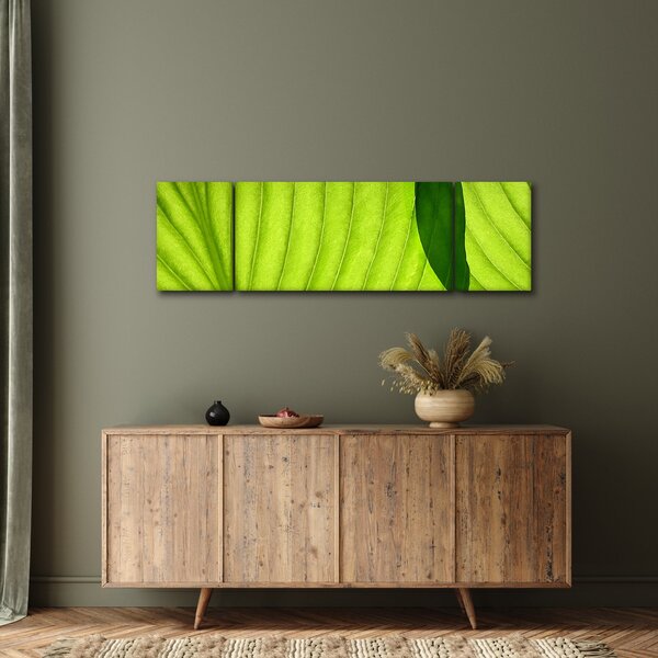 Obraz - Szczegół zielonego liścia (170x50 cm)